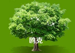 相關(guān)問題解決方案資料整理中